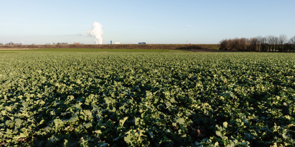 Sustainable biomass supply in Europe