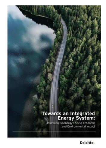 Deloitte_cover_small